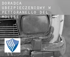 Doradca ubezpieczeniowy w  Pettoranello del Molise