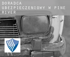 Doradca ubezpieczeniowy w Pine River