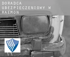 Doradca ubezpieczeniowy w  Raemon