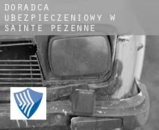 Doradca ubezpieczeniowy w  Sainte-Pezenne