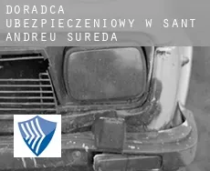 Doradca ubezpieczeniowy w  Sant Andreu de Sureda