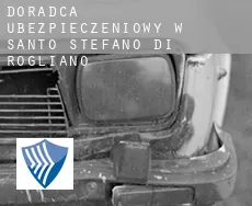 Doradca ubezpieczeniowy w  Santo Stefano di Rogliano