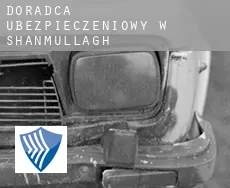 Doradca ubezpieczeniowy w  Shanmullagh