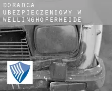Doradca ubezpieczeniowy w  Wellinghoferheide