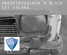 Ubezpieczalnia w  Black Cat Island