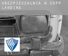 Ubezpieczalnia w  Copp Landing