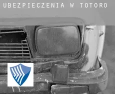 Ubezpieczenia w  Totoró