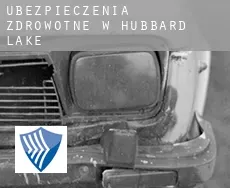 Ubezpieczenia zdrowotne w  Hubbard Lake