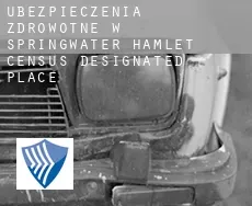 Ubezpieczenia zdrowotne w  Springwater Hamlet