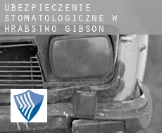Ubezpieczenie stomatologiczne w Hrabstwo Gibson