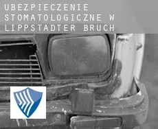 Ubezpieczenie stomatologiczne w  Lippstädter Bruch