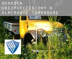 Doradca ubezpieczeniowy w  Almirante Tamandaré