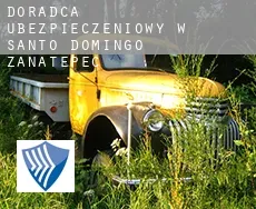 Doradca ubezpieczeniowy w  Santo Domingo Zanatepec