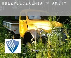 Ubezpieczalnia w  Amity
