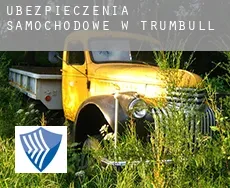 Ubezpieczenia samochodowe w  Trumbull