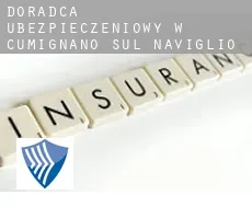 Doradca ubezpieczeniowy w  Cumignano sul Naviglio