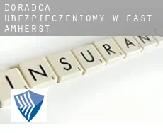 Doradca ubezpieczeniowy w  East Amherst