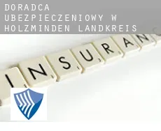 Doradca ubezpieczeniowy w  Holzminden Landkreis