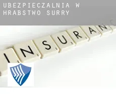 Ubezpieczalnia w Hrabstwo Surry