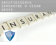 Ubezpieczenia zdrowotne w  Cedar Grove