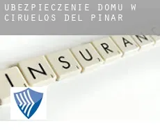 Ubezpieczenie domu w Ciruelos del Pinar