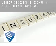 Ubezpieczenie domu w  Cullenagh Bridge