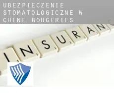 Ubezpieczenie stomatologiczne w  Chêne-Bougeries
