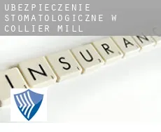 Ubezpieczenie stomatologiczne w  Collier Mill