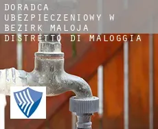 Doradca ubezpieczeniowy w  Bezirk Maloja / Distretto di Maloggia