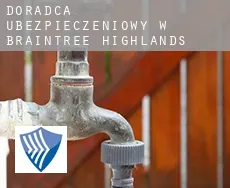 Doradca ubezpieczeniowy w Braintree Highlands