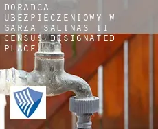 Doradca ubezpieczeniowy w Garza-Salinas II