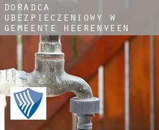 Doradca ubezpieczeniowy w  Gemeente Heerenveen