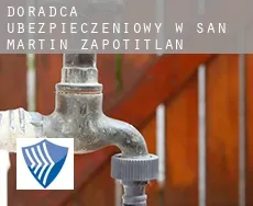 Doradca ubezpieczeniowy w San Martín Zapotitlán