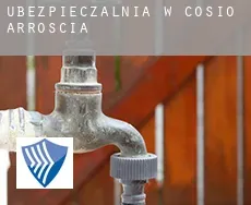 Ubezpieczalnia w  Cosio di Arroscia