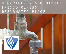 Ubezpieczenia w  Middle Frisco