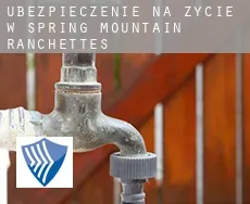 Ubezpieczenie na życie w  Spring Mountain Ranchettes