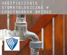Ubezpieczenie stomatologiczne w  Coneyburrow Bridge