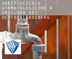 Ubezpieczenie stomatologiczne w Freiland bei Deutschlandsberg