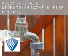 Ubezpieczenie stomatologiczne w Pine Prairie