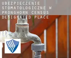 Ubezpieczenie stomatologiczne w  Pronghorn