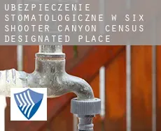 Ubezpieczenie stomatologiczne w  Six Shooter Canyon