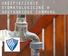 Ubezpieczenie stomatologiczne w  Southbridge Commons