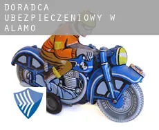 Doradca ubezpieczeniowy w  Alamo