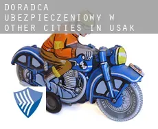Doradca ubezpieczeniowy w  Other cities in Usak