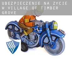 Ubezpieczenie na życie w  Village of Timber Grove