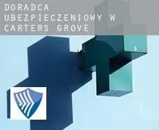 Doradca ubezpieczeniowy w  Carters Grove