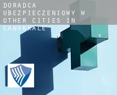 Doradca ubezpieczeniowy w Other cities in Canakkale