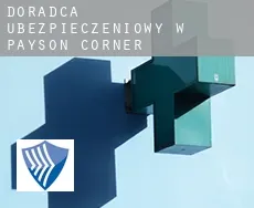 Doradca ubezpieczeniowy w  Payson Corner