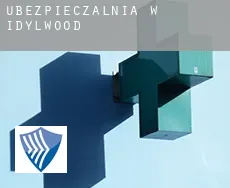 Ubezpieczalnia w  Idylwood