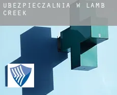 Ubezpieczalnia w  Lamb Creek